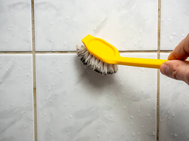 Best Office Mold Removal Services  in Caruthersville, MO