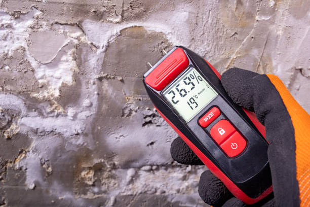 Mold Removal Process in Caruthersville, MO