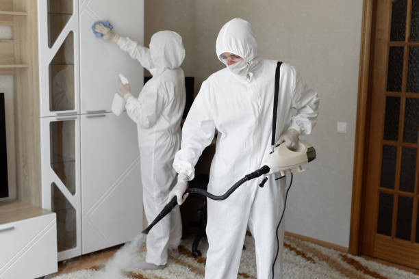 Best Mold Removal Process  in Caruthersville, MO