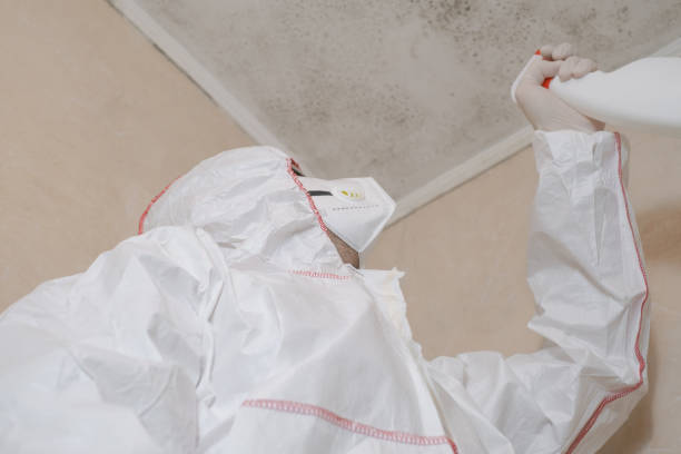 Best Attic Mold Removal  in Caruthersville, MO